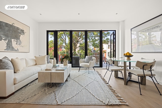 living room with light hardwood / wood-style floors