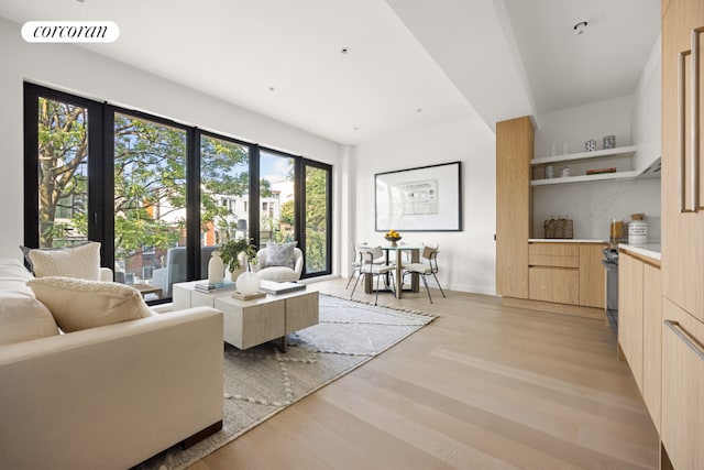 living room with light wood-type flooring