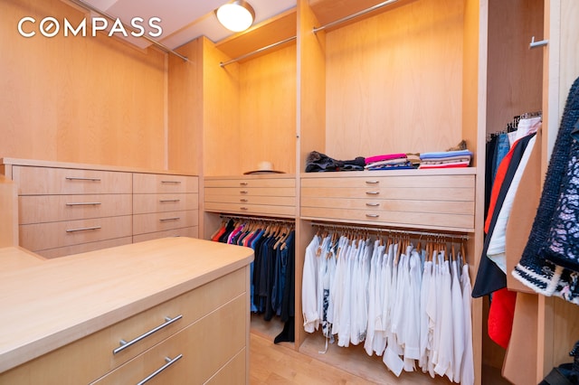 641 5th Ave Unit 49Cde, New York City, NY 10022 - walk in closet featuring light wood-style flooring