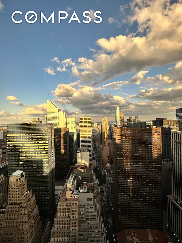 641 5th Ave Unit 49Cde, New York City, NY 10022 - city view