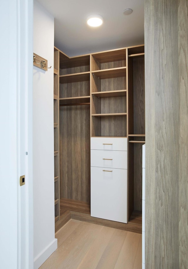 spacious closet featuring light wood-type flooring