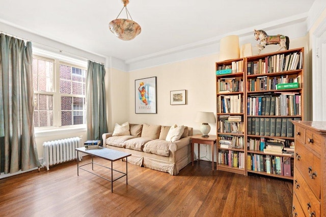 living area featuring dark hardwood / wood-style floors and radiator heating unit