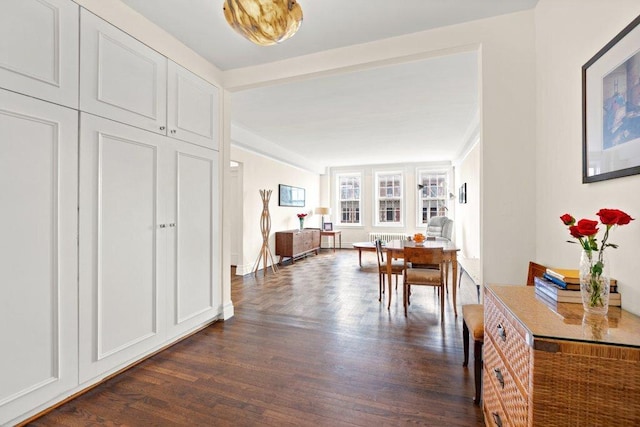 hallway featuring dark hardwood / wood-style flooring