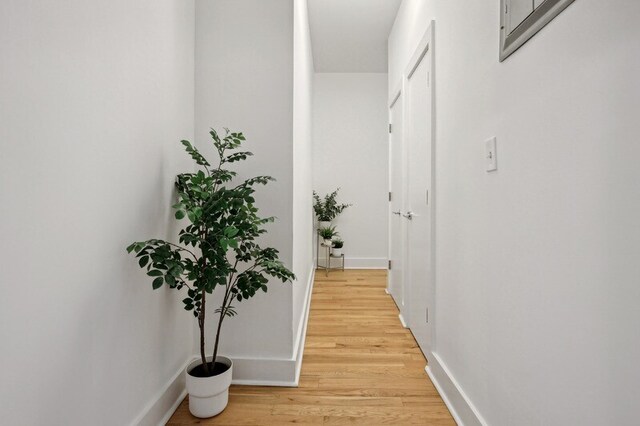 bedroom with radiator and light wood-type flooring