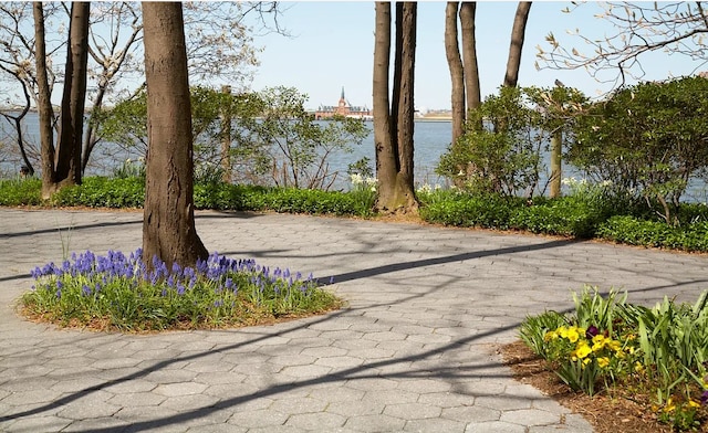 view of property's community with a water view