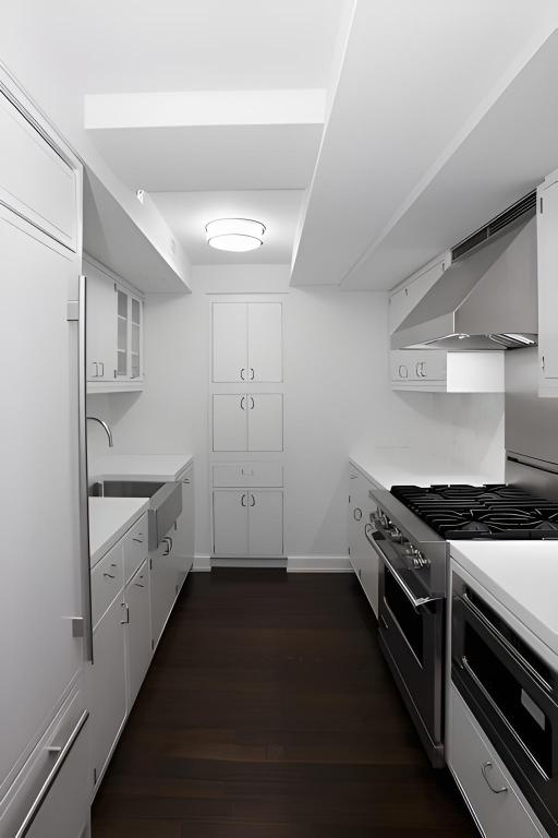 kitchen featuring dark hardwood / wood-style floors, sink, white cabinets, premium appliances, and wall chimney exhaust hood