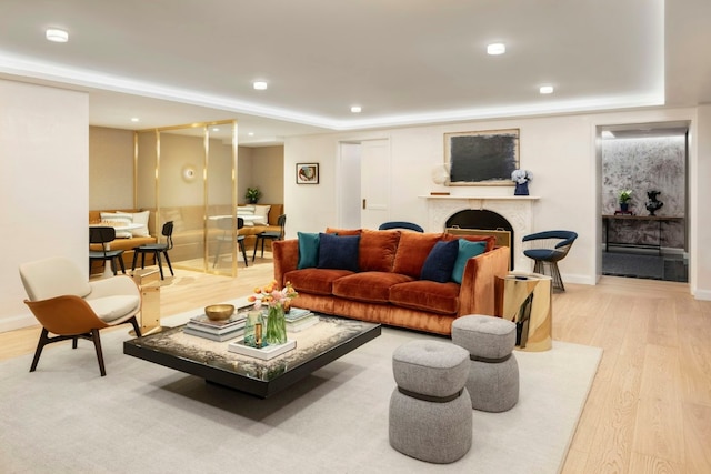 living room featuring light hardwood / wood-style flooring