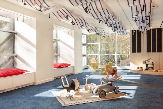 interior space featuring a towering ceiling and carpet flooring