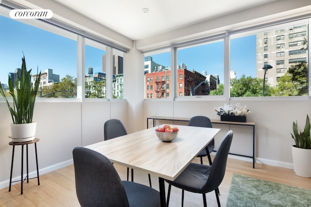 dining room featuring baseboards, a city view, and light wood finished floors