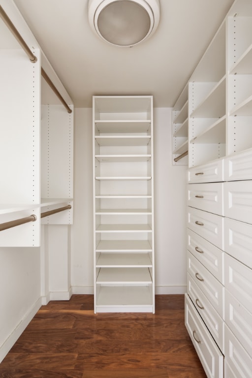 spacious closet featuring dark wood finished floors