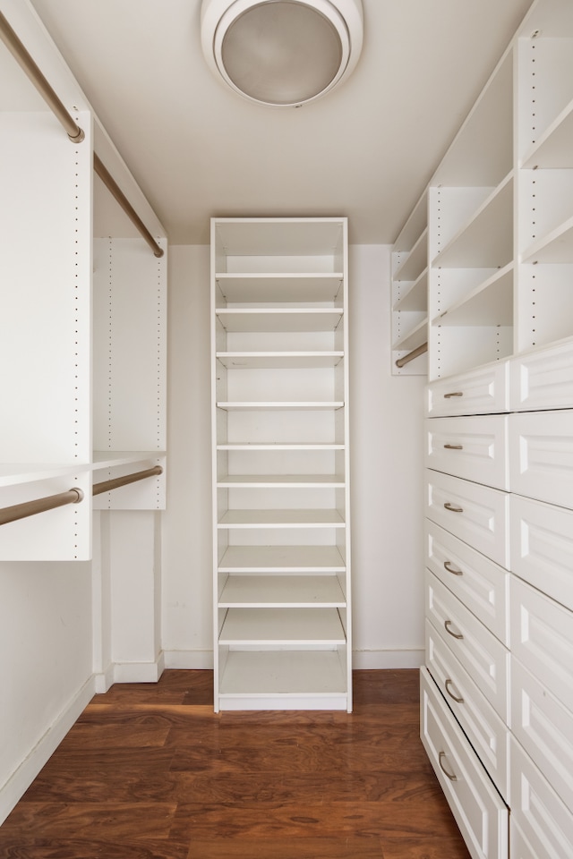 spacious closet with dark wood-type flooring