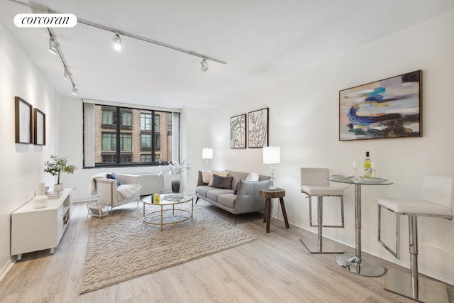 living room featuring light hardwood / wood-style flooring