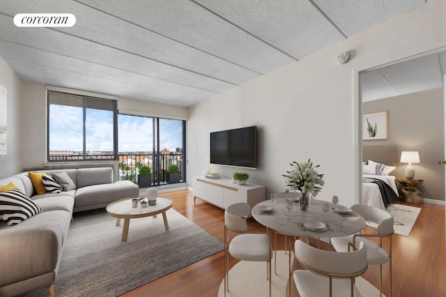 living room with light hardwood / wood-style floors and a wall of windows