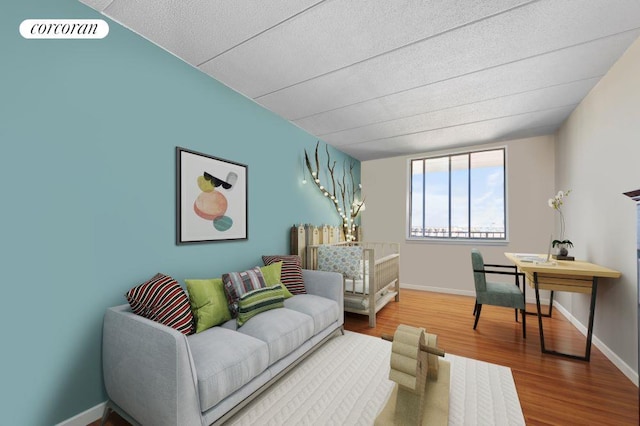 living room featuring hardwood / wood-style floors