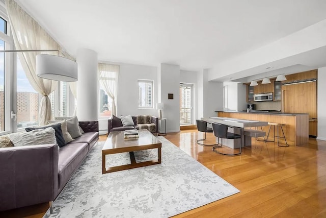 living room with hardwood / wood-style floors