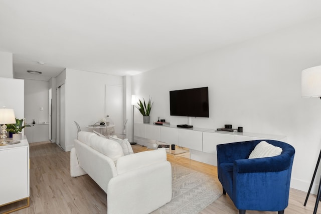 living room featuring light wood-type flooring