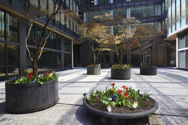 view of property's community featuring a patio