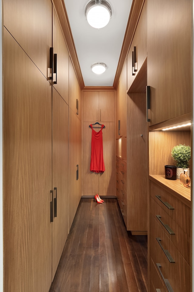 hallway with crown molding and dark wood-style flooring
