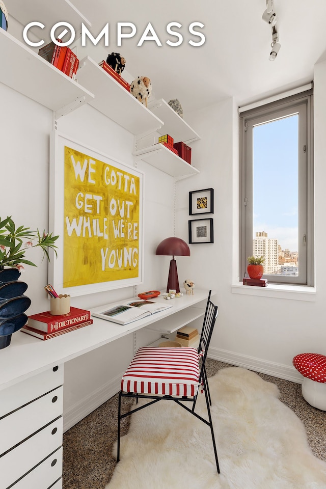 office space with baseboards, carpet, and track lighting