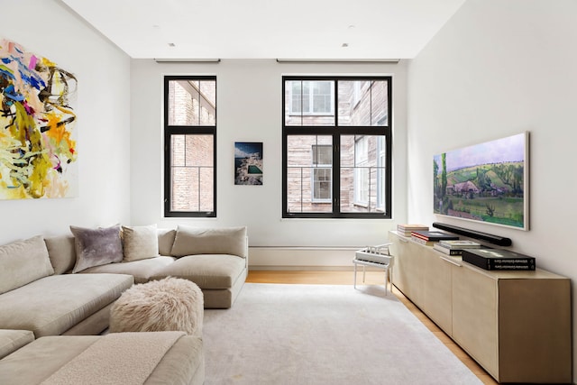 living area featuring light wood finished floors