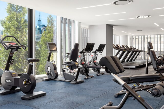 50 Bridge Park Dr Unit 26D, New York City, NY 11201 - exercise room featuring plenty of natural light and a wall of windows