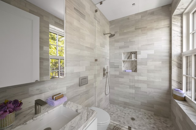 full bath featuring vanity, toilet, and a tile shower