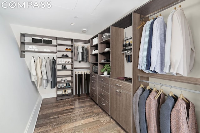 spacious closet with dark hardwood / wood-style floors