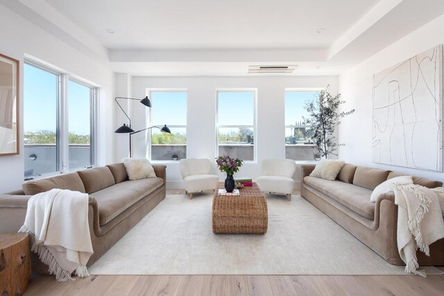 living room featuring hardwood / wood-style floors and a tray ceiling