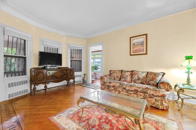 living area with wood finished floors and radiator heating unit