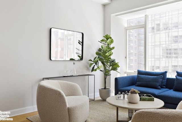 living area featuring baseboards and wood finished floors