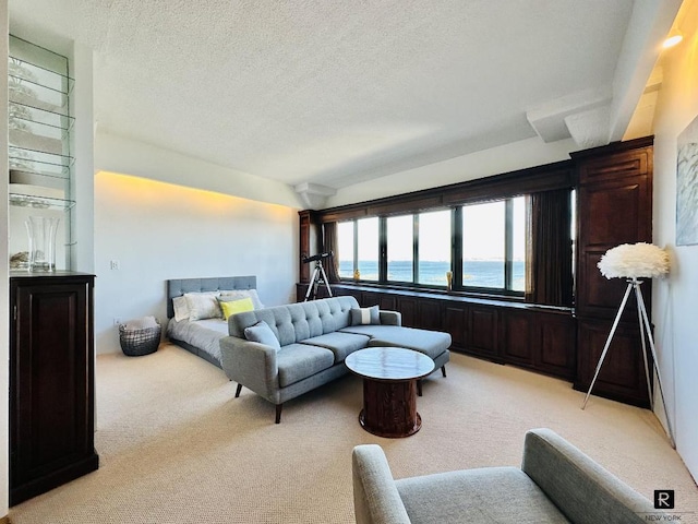 carpeted living room featuring a textured ceiling and a water view