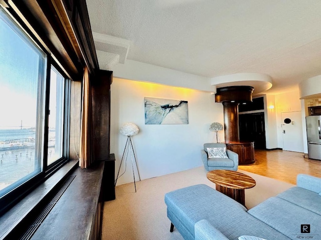 living room featuring a textured ceiling