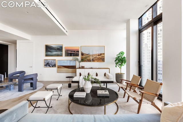 living room featuring a wall of windows and light hardwood / wood-style floors