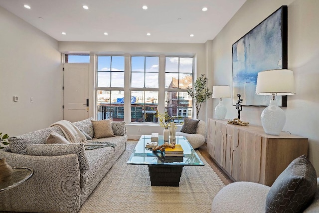 living room featuring wood-type flooring