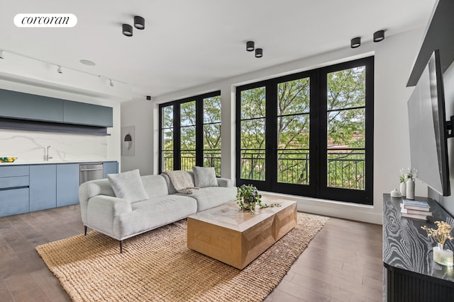 living room featuring hardwood / wood-style flooring, a wealth of natural light, rail lighting, and french doors