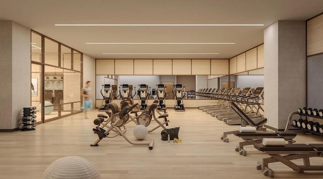 exercise room with floor to ceiling windows and light hardwood / wood-style flooring