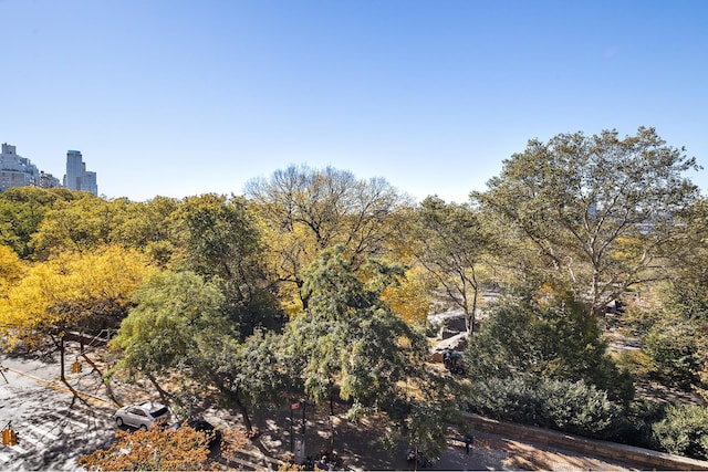 view of landscape featuring a city view