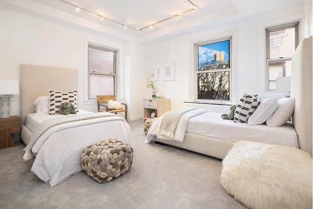 carpeted bedroom featuring rail lighting