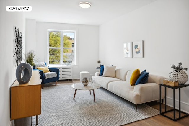 living room featuring hardwood / wood-style flooring