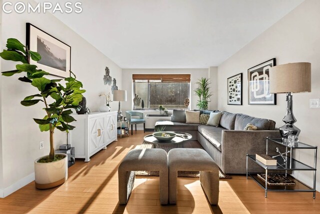 living room with light wood-type flooring