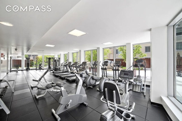 gym with expansive windows