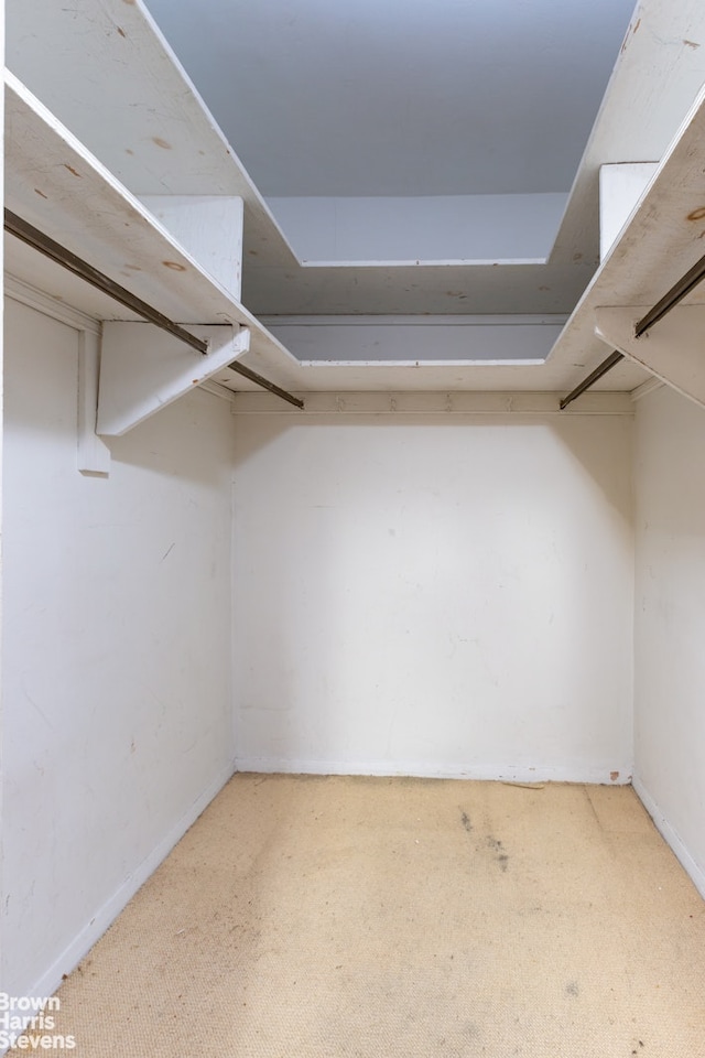 view of spacious closet