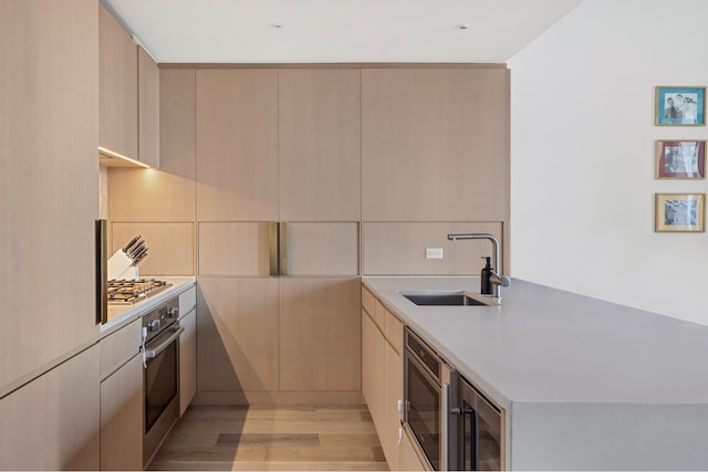 kitchen with a sink, appliances with stainless steel finishes, light wood-style flooring, and modern cabinets