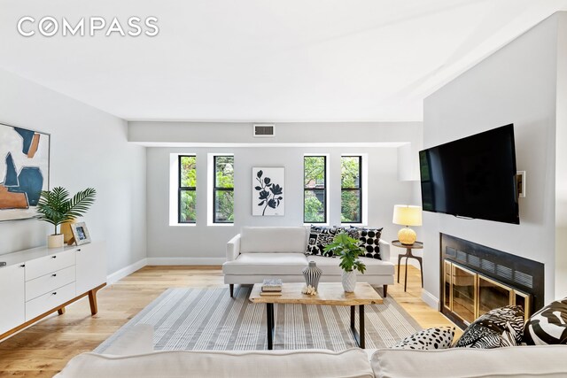 living room featuring light hardwood / wood-style floors