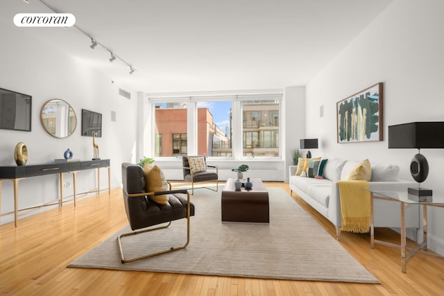 living room with track lighting and light wood-type flooring