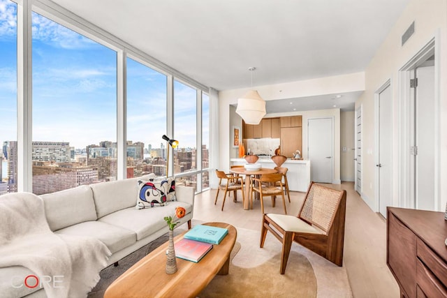 living room featuring a healthy amount of sunlight, light wood-type flooring, and floor to ceiling windows