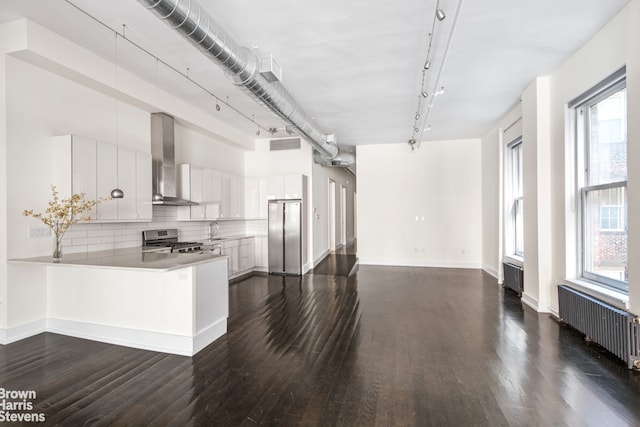 kitchen with tasteful backsplash, wall chimney exhaust hood, dark wood-style flooring, appliances with stainless steel finishes, and radiator