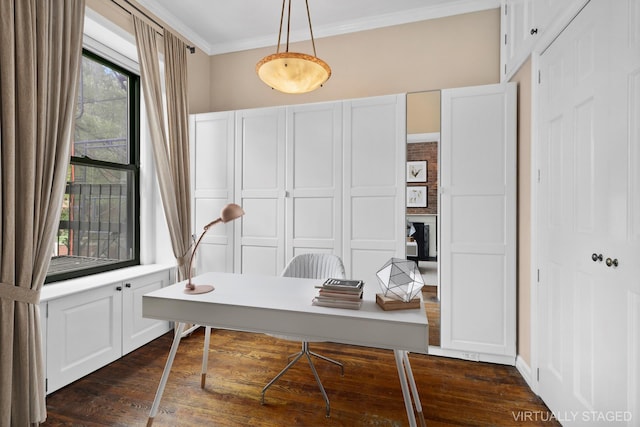 office with ornamental molding and dark wood-type flooring