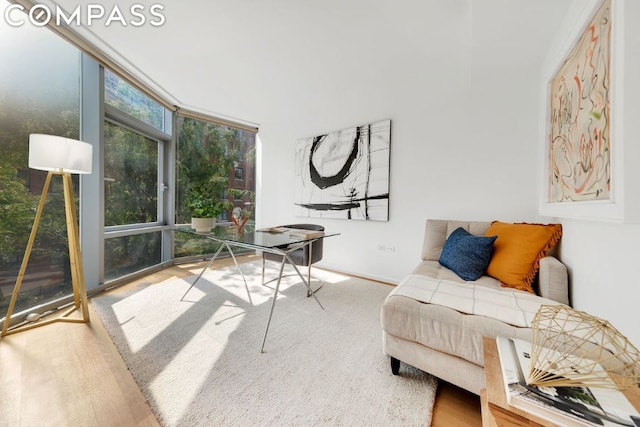 living room featuring hardwood / wood-style flooring and floor to ceiling windows