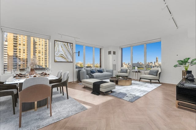 living room featuring parquet flooring and rail lighting